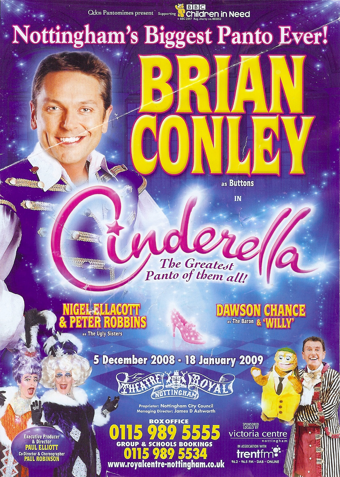 Cinderella Flyer